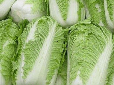 白菜在线观看,一场视觉盛宴的云端之旅 第2张 白菜在线观看,一场视觉盛宴的云端之旅 第2张