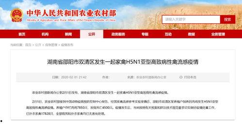 邵阳新闻爆料平台电话是多少,市民知情渠道再拓宽 第3张 邵阳新闻爆料平台电话是多少,市民知情渠道再拓宽 第3张